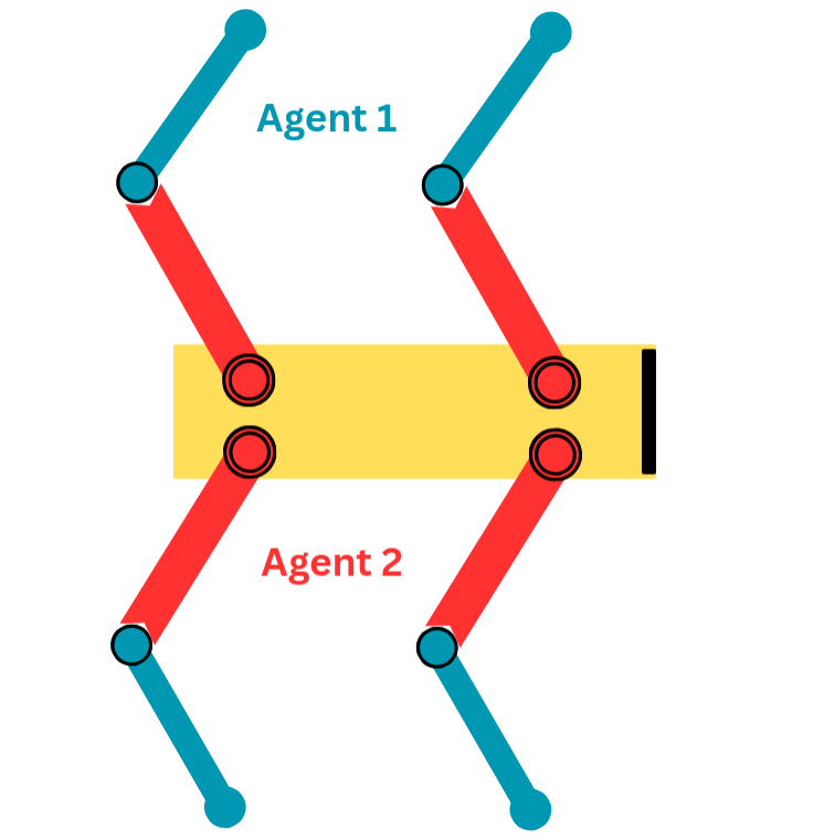 Quadruped diagram with two agents splitting the joints into two groups